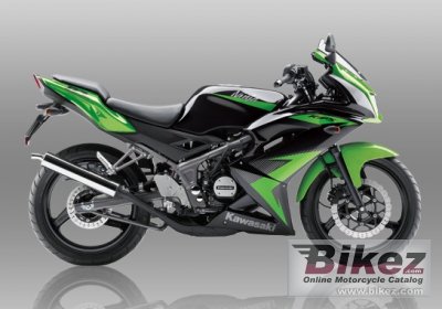 Ninja Rr