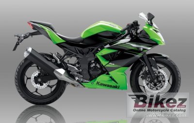 Ninja Rr Mono