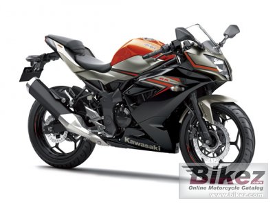 Kawasaki Ninja Rr Mono