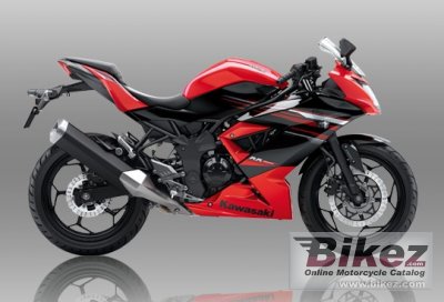 Ninja Rr Mono Abs
