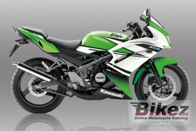Ninja Rr Special Edition