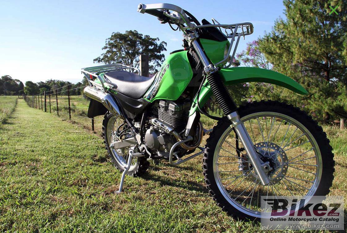 Kawasaki Stockman 250