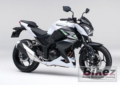 Z250