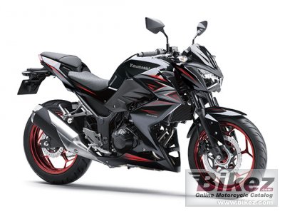 Z250 Special Edition