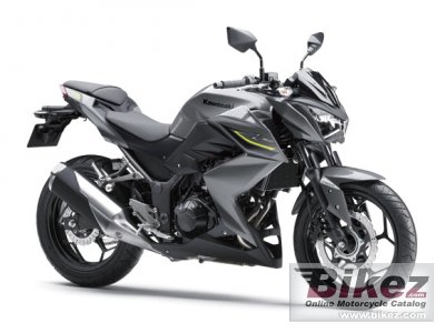 Kawasaki Z300