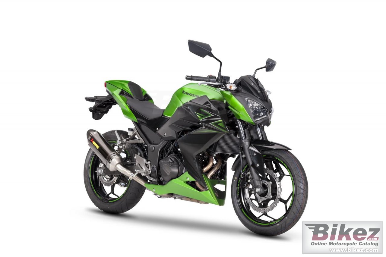 Z300 Performance