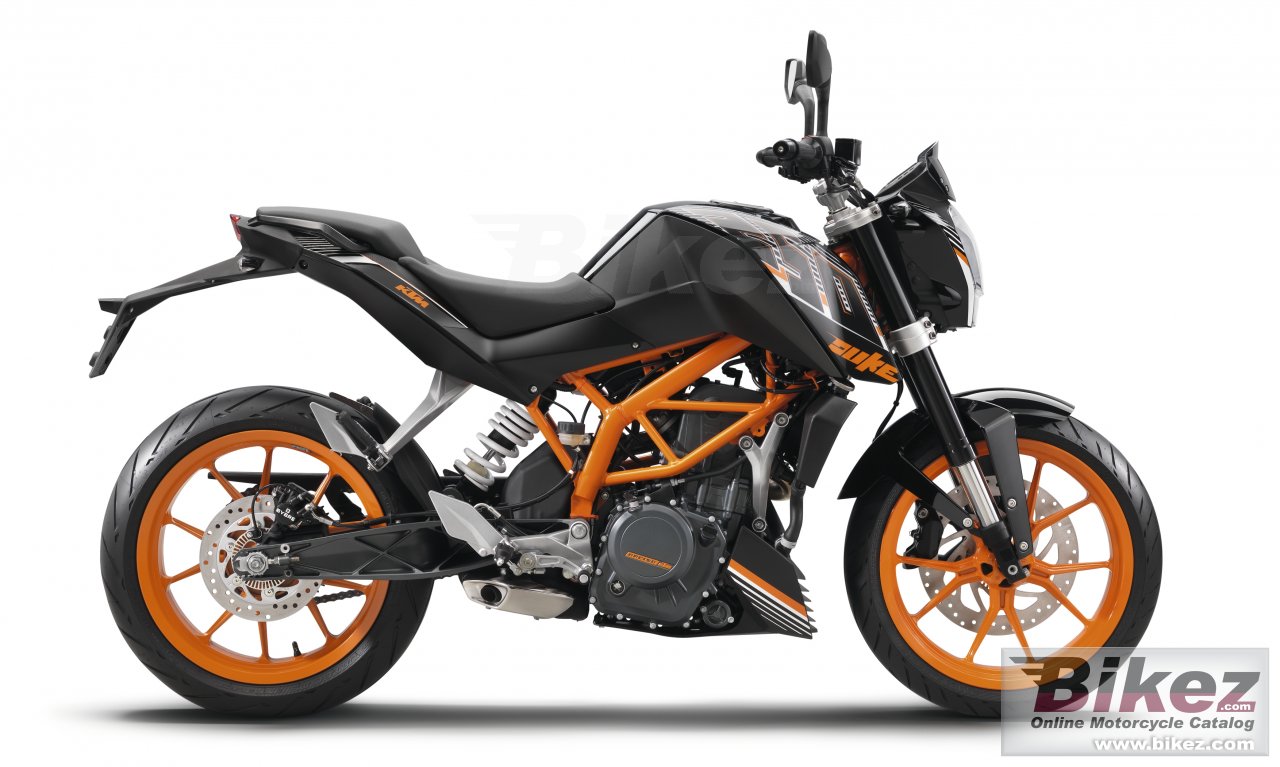 250 Duke