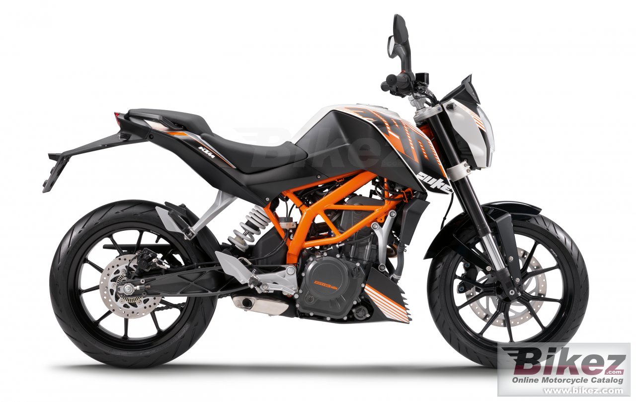390 Duke Abs