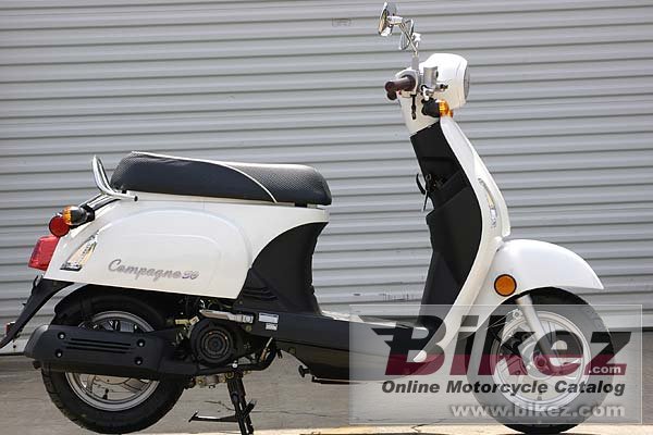 Compagno 50I
