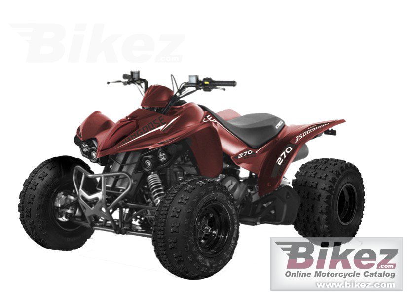 Mongoose 270 Euro