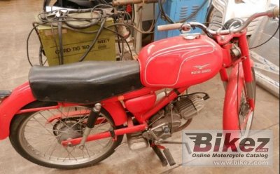 Moto Guzzi Guzzi Cardellino 83
