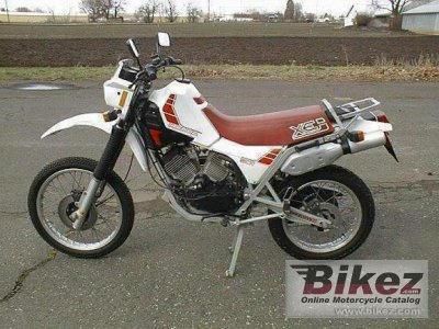 Morini 501 Camel