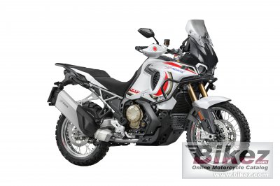 Agusta Lxp Orioli