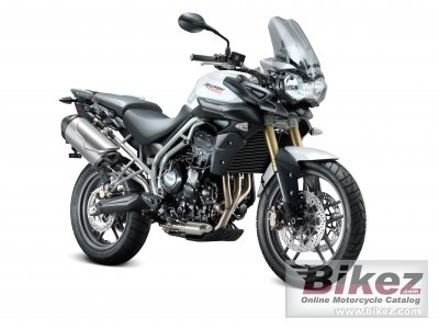 New Tiger 800