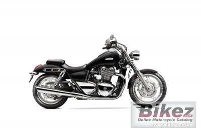 Triumph Thunderbird