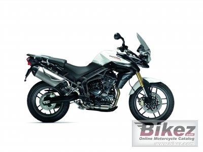 Tiger 800 Abs