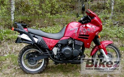 Triumph Tiger 900