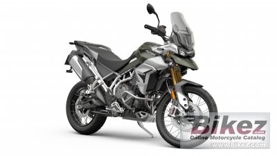 Tiger 900 Rally Pro