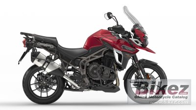 Tiger Explorer Xrt