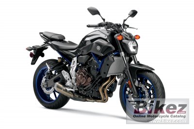 Fz 07