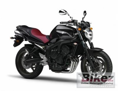 Fz6N