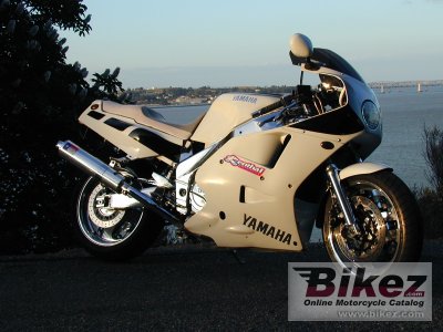 Yamaha Fzr 1000