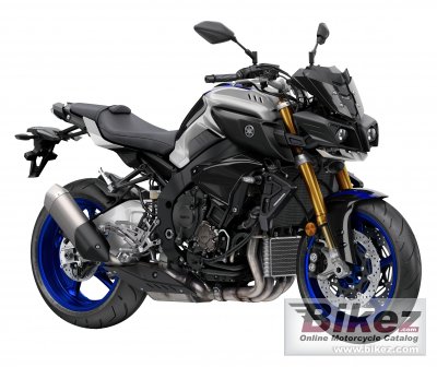 Mt 10 Sp