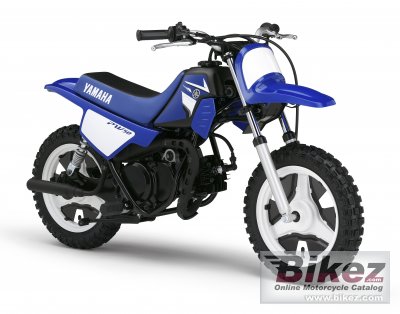 Pw50