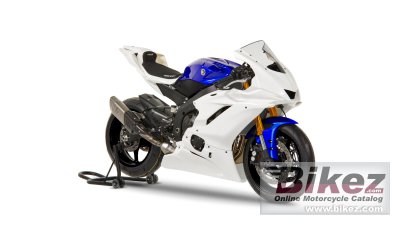 Yamaha R6 Gytr