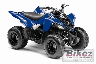Raptor 90