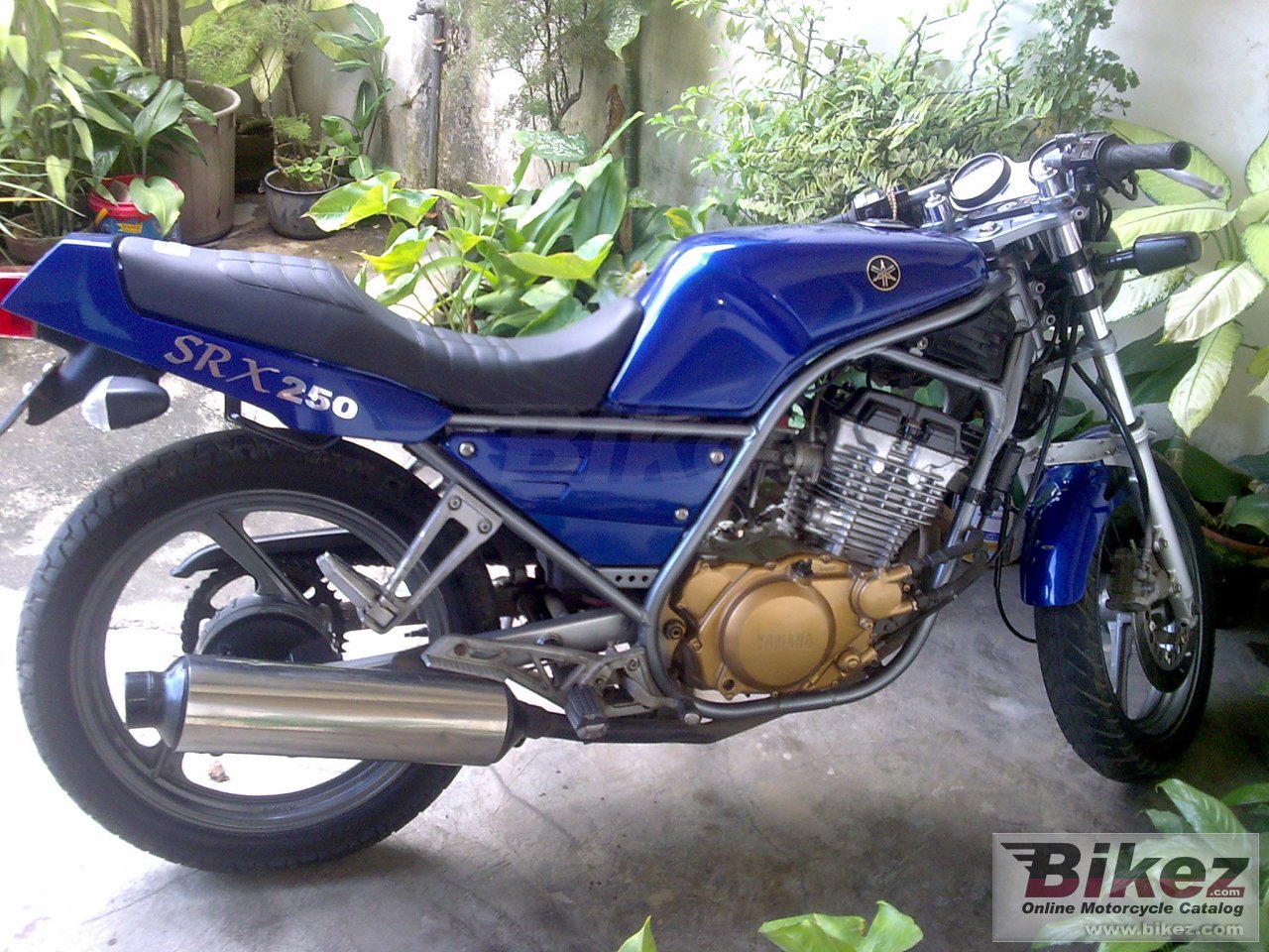 Srx 250