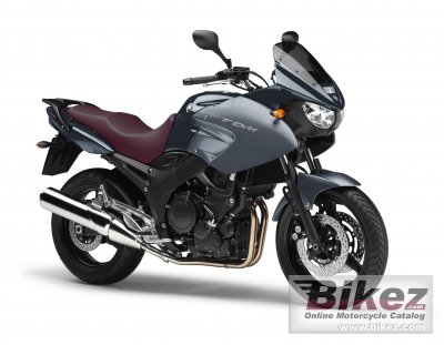 Yamaha Tdm 900