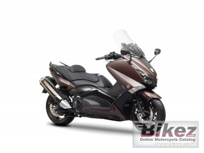 Tmax Bronze Max Abs