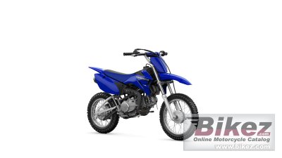Tt R110