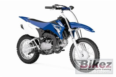 Yamaha Tt R110E