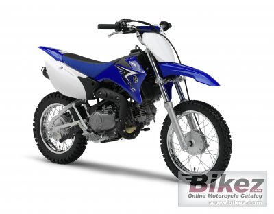 Yamaha Tt R110E