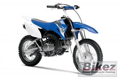 Yamaha Tt R110E