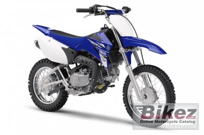 Yamaha Tt R110E