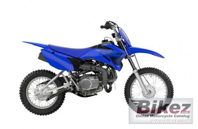 Yamaha Tt R110E