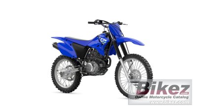 Yamaha Tt R230