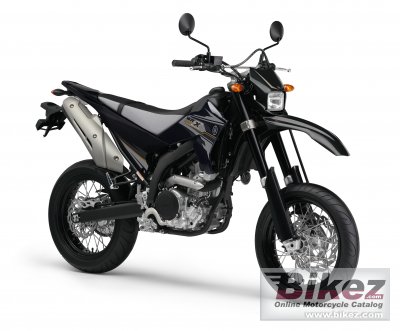 Yamaha Wr250X