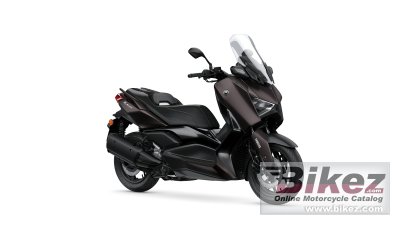 X Max 300 Tech Max