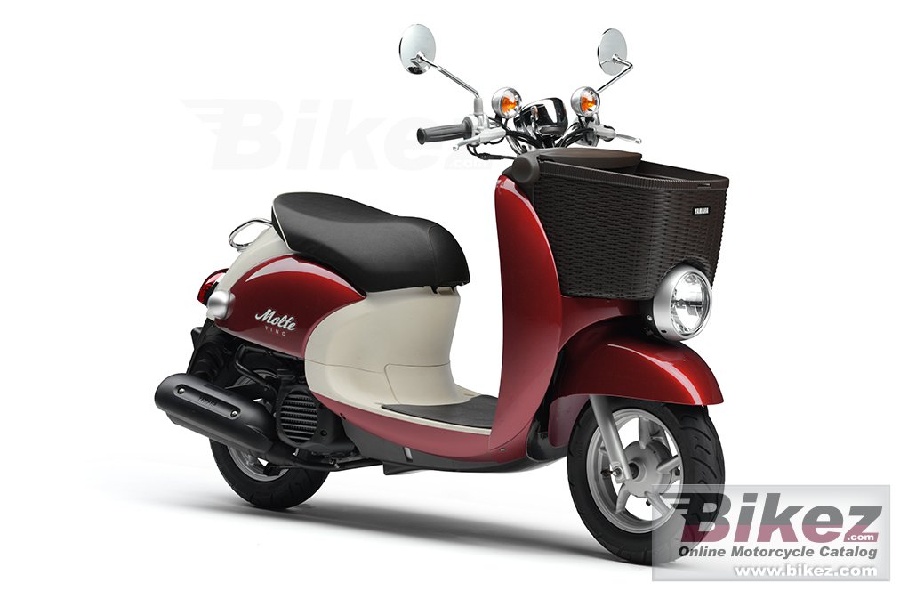 Xc50D Vino Molfe