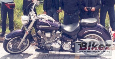 Xv 1600 Wild Star