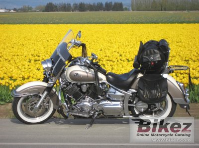 Yamaha Xvs 1100 A Drag Star Classic