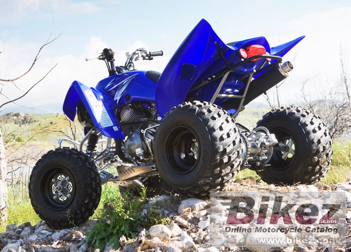 Yfm350R