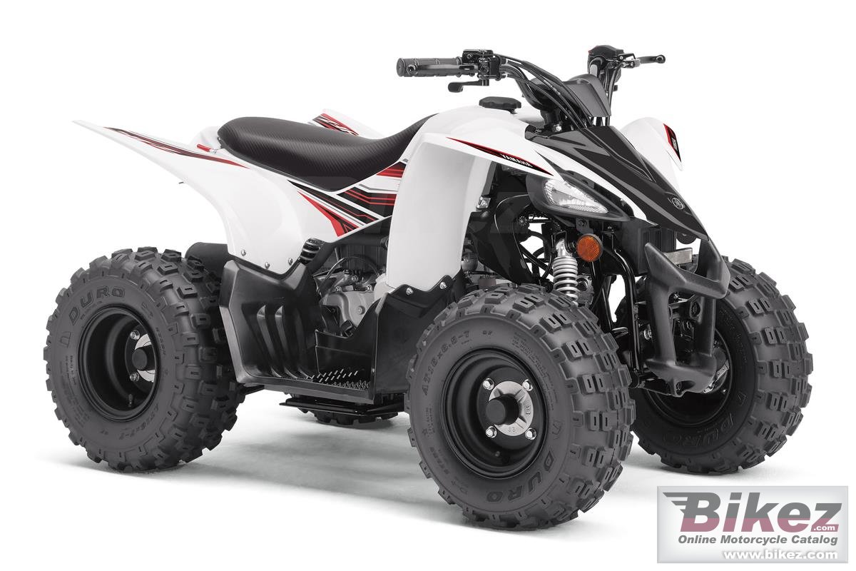 Yfz50