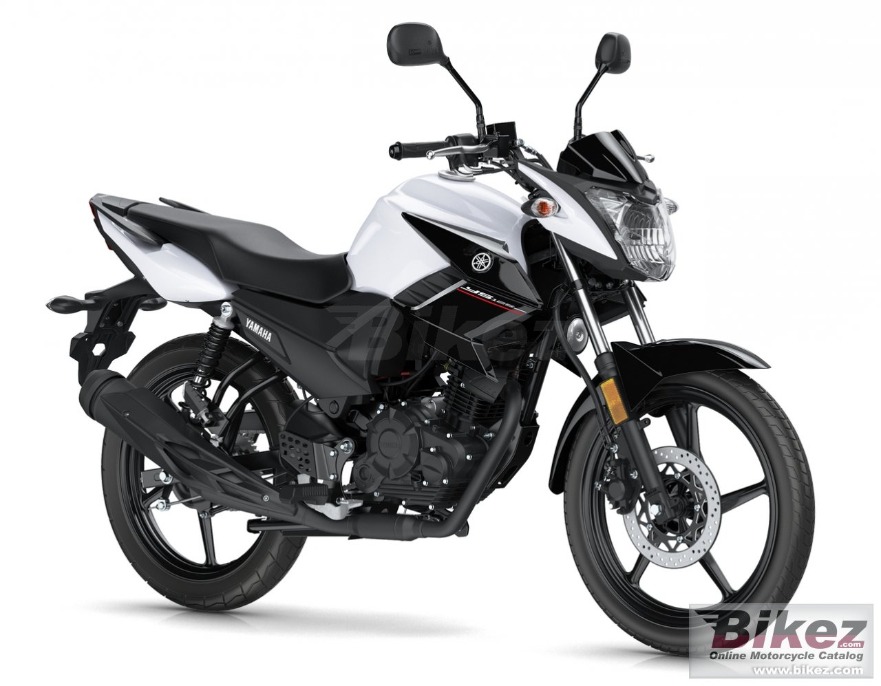 Ys125